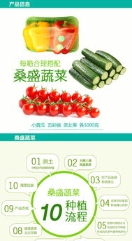 桑盛蔬菜特惠套餐 壽光特產(chǎn)，綠色健康的家庭餐桌新選擇