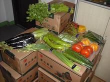 商丘與民權合資企業推出食品罐與酒罐包裝定制服務，拓寬紙罐應用新市場